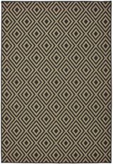 Black-Tan