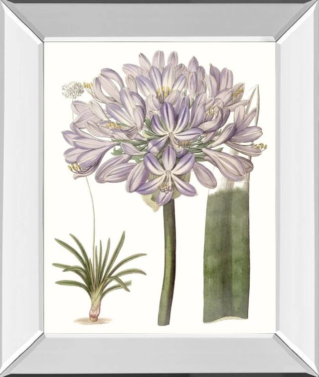 Classy Art Lavender Beauties VI by Edwards Mirror Framed Wall Art-0