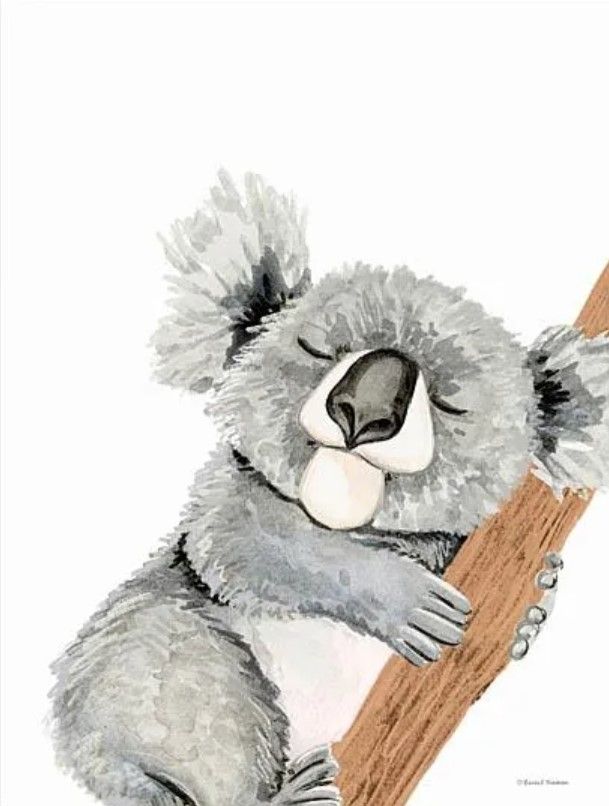 Classy Art Cuddles the Koala by Rachel Nieman Wall Art-0