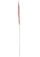 A & B Home Blush Dried Natural Pampas Grass Bundle-1