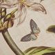 Olliix by Martha Stewart Green Set of 4 Herbal Botany Framed Linen Canvas-3