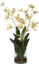 Uttermost® Spider Green/Yellow Orchid-4