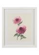 Chelsea House Bradshaw Orrell White Flower Study III-0