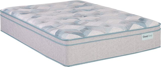 BeautySleep® Dream Weaver™ 14.25" Pocketed Coil Ultra Plush Pillow Top Full Mattress-0
