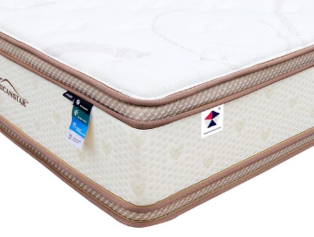 Martin Furniture & Bedding Dylan Lux Innerspring Plush Euro Top King Mattress-1