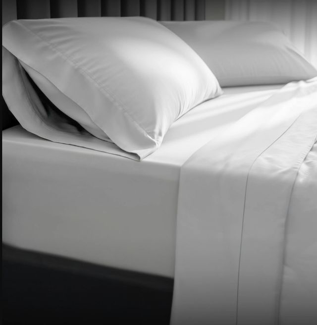 Puffy Signature Arctic White Twin Sheet Set-2