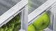 Fisher & Paykel Series 7 20.1 Cu. Ft. Stainless Steel French Door Refrigerator-5