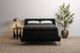 iAmerica Ashland 2.0 Wrapped Coil 17" Plush Pillow Top Queen Mattress Bundle-0