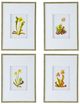 A & B Home 4-Piece Green/Orange/Yellow Botanical Wall Art Set-0