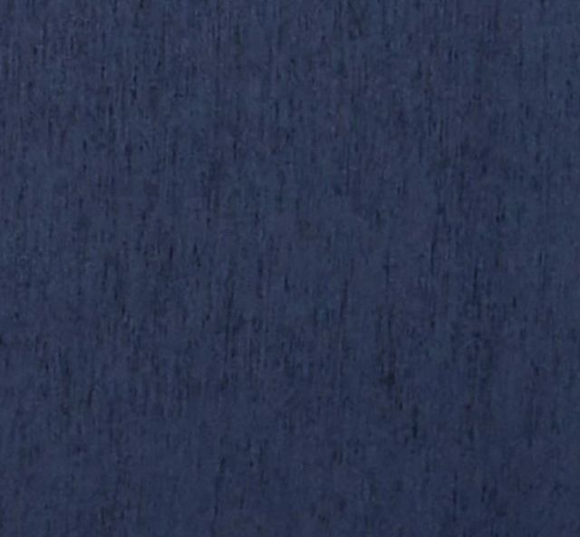 Hughes Furniture® 22900 Lush Navy Chair-2