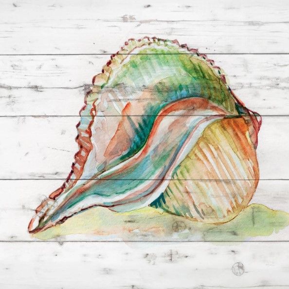 Classy Art Tye Dyed Shell II by Carol Robinson Wall Art-0
