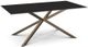 Amisco Customizable Asterisk Starstone on Glass Tabletop 71.5" Rectangular Table with Starburst Stand -0