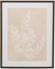 Bassett Mirror Cystoseira Faeniculacea Beige Framed Print-0