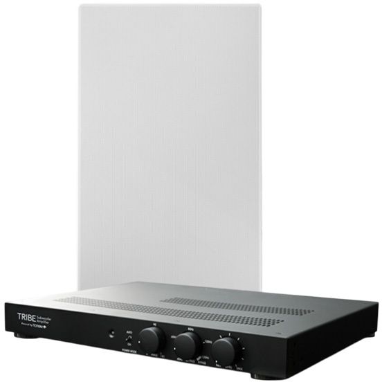 Totem Acoustics Tribe Architectural 12" In-Wall Subwoofer with Amplifier-1
