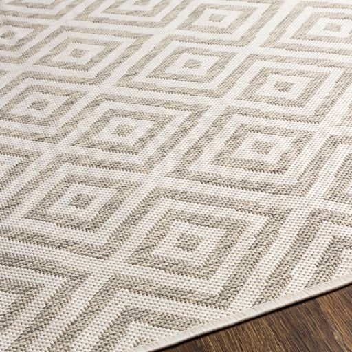 Surya Eagean Cream 5'x8' Area Rug-2