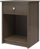 Ameriwood Home Ellwyn Brown Stanton Ash Nightstand with Drawer-2