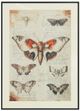 Signature Design by Ashley® Jossletts 3-Piece Black/Ivory/Orange Wall Art Set-2
