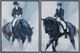 Crestview Collection Trot 2-Piece Wall Art Set-0
