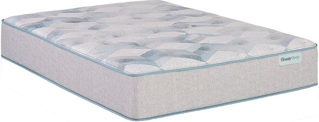 Beautyrest® Clara 10" Pocketed Coil® Firm Tight Top Queen Mattress-0
