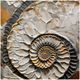 Stylecraft Plaster Dreams II Wall Art-0