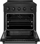 ZLINE Paramount 30" Black Stainless Steel Pro Style Induction Range-1