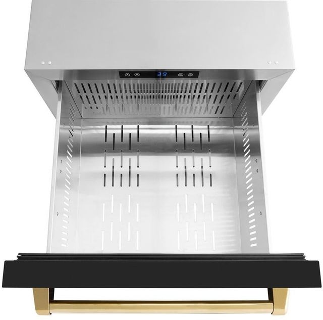 ZLINE Autograph Edition 24" 4.6 Cu. Ft. Black Matte Outdoor-Rated Built-In Refrigerator Drawers with Polished Gold Handles-3