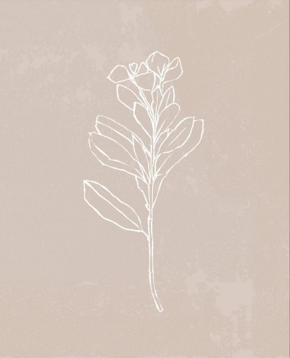 Classy Living Annie Warren Blush Bloom I 22"W Wall Art-1