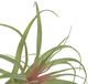 A & B Home Green/Pink Air Grass Plant-1