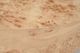 Riverside Furniture Kara Natural Mappa Burl Side Table-2