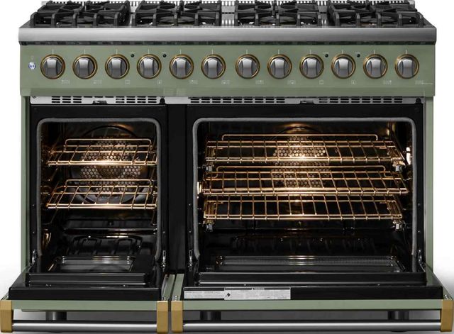 Viking® 5 Series 48" Eucalyptus Pro Style Dual Fuel (LP) Range with Brushed Brass Trim-1