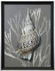 Stylecraft Shell I Black/Gray/Silver Wall Art -0
