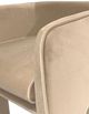 Nest Home Collections Stella Champagne Dining Chair-4