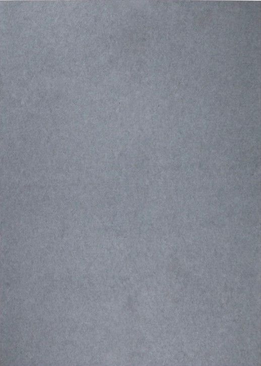 Renwil®  3"x5" Rug Underpadding-0