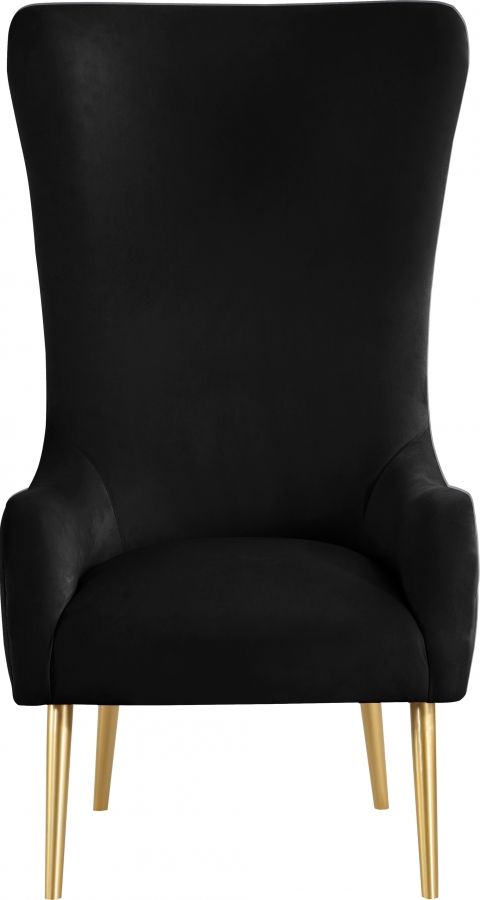 Meridian Furniture Alexander Black Velvet Accent Chair-3