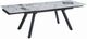 ACME Furniture Damita White Dining Table with Black Base-0