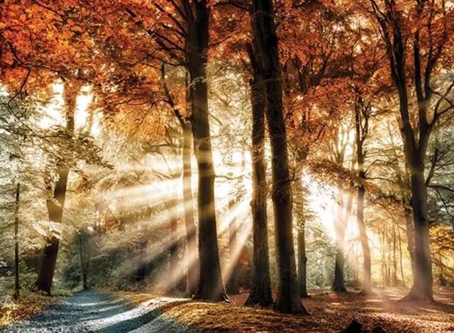 Classy Art Dreaming in by Lars Van De Goor Wall Art-0