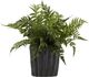 D&W Silks Artificial Leather Leaf Fern 19"-0