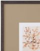 Bassett Mirror 4-Piece Parchment Coral Framed Print Set-1