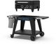 Pit Boss® Grills Liquid Propane Black Outdoor Griddle-2