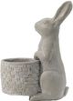 A & B Home Gray Rabbit Planter-3