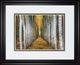 Classy Living Cahill Tree Farm Wall Art-0