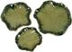 Crestview Collection Willowbrook 3-Piece Green Tray Set-0