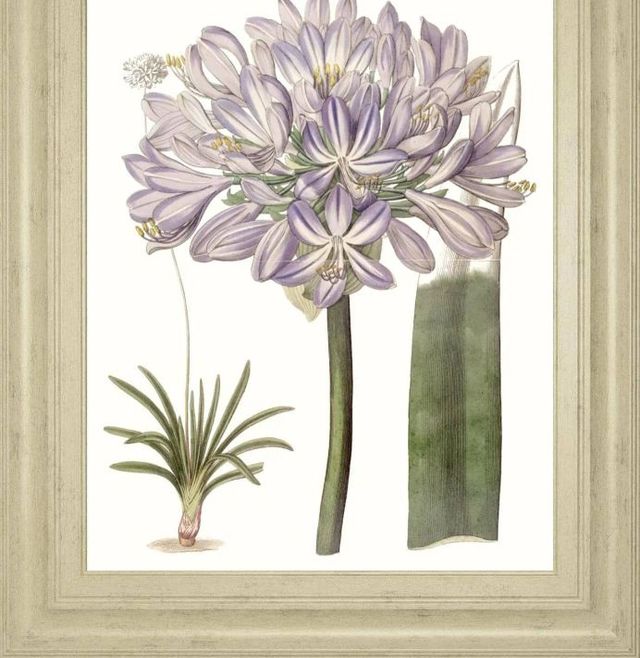 Classy Art Lavender Beauties VI by Edwards Wall Art-1