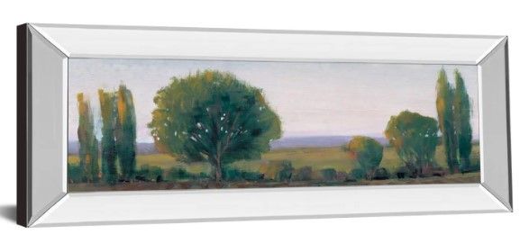 Classy Art Panoramic Treeline I by Tim Otoole Mirror Framed Wall Art-1