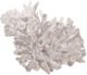 A & B Home White Expansive Faux Coral Accent-0