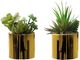 Monarch Specialties Inc. 2-piece 7" Artificial Succulent with Gold Pot-0