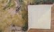 Feizy Amira Green/Purple 5' x 8' Rug-3