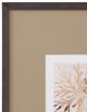 Bassett Mirror Parchment Coral lI Framed Print-1
