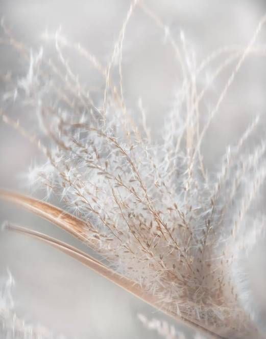 Classy Art Summer Wisps II by Irene Weisz Wall Art-1