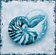 StyleCraft Perth Shells II Blue/White Wall Art-1